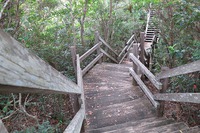 座喜味城跡周辺の春