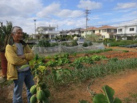 読谷に　新鮮食材の　お店が！