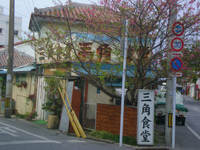 三角食堂　普天間　 2013/02/14 13:49:38