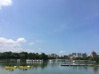 福岡市の観光スポットは想像よりも多言語化が遅れていて驚きました。