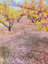 旅から一年。 2023/03/11 09:40:26