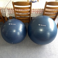 バランスボール購入。 2023/03/15 11:45:46