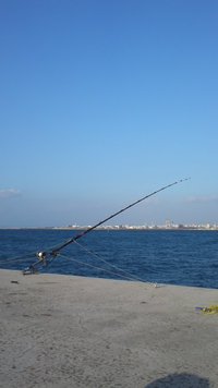 登録抹消 2014/09/28 07:47:17