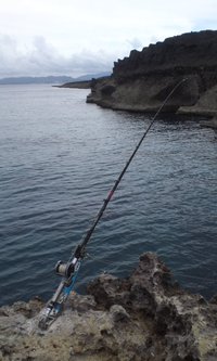 リリフィールド 2015/08/15 19:32:46