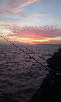 魚居ない 2015/11/13 18:51:54
