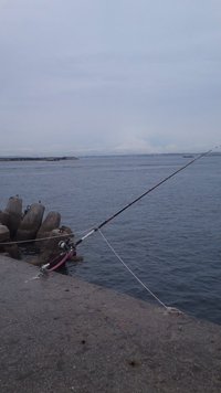 赤灯 2016/06/15 21:22:05
