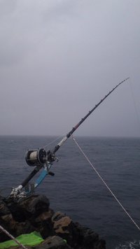 山原 2016/07/11 21:25:29