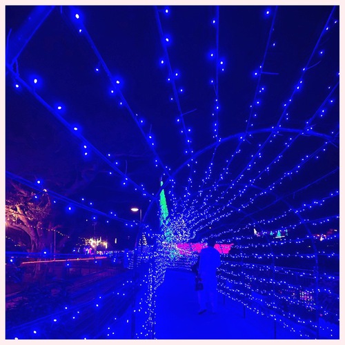 キラキラワクワクな夜。