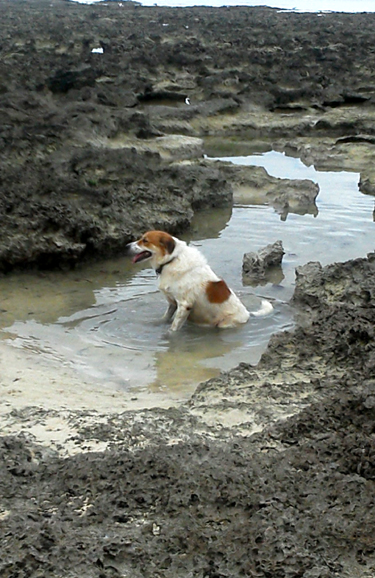 いい湯だな
