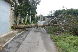 台風１１号