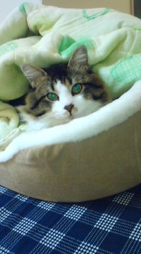 はじめまして 2011/03/27 11:17:39