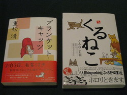 猫猫猫猫！！