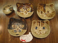 猫猫猫猫！！