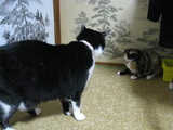 三つ子の魂百まで