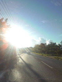HOT 沖縄 2010/12/02 23:37:22