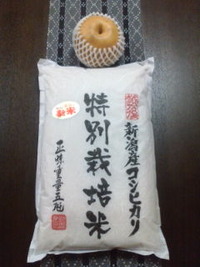 新潟米！！ 2009/11/16 20:48:22