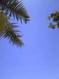沖縄、昨日梅雨明け☆ 2012/06/24 18:01:26
