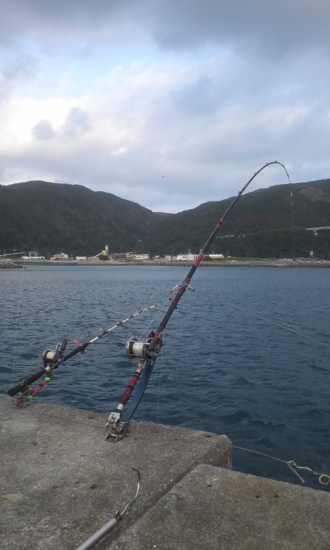 二日目
