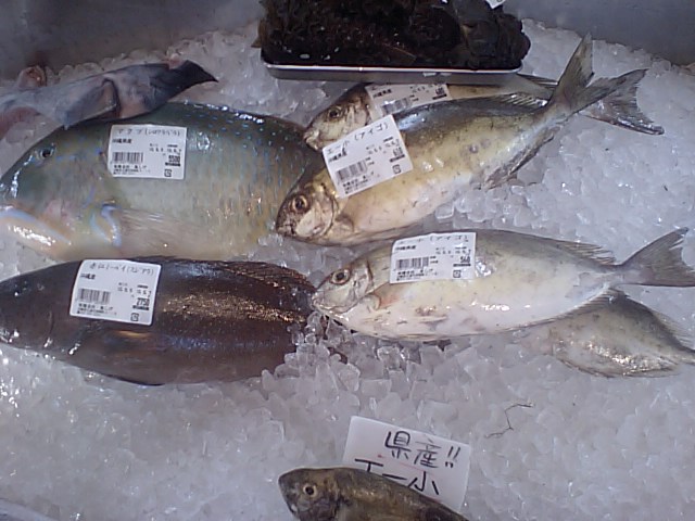 釣行終了